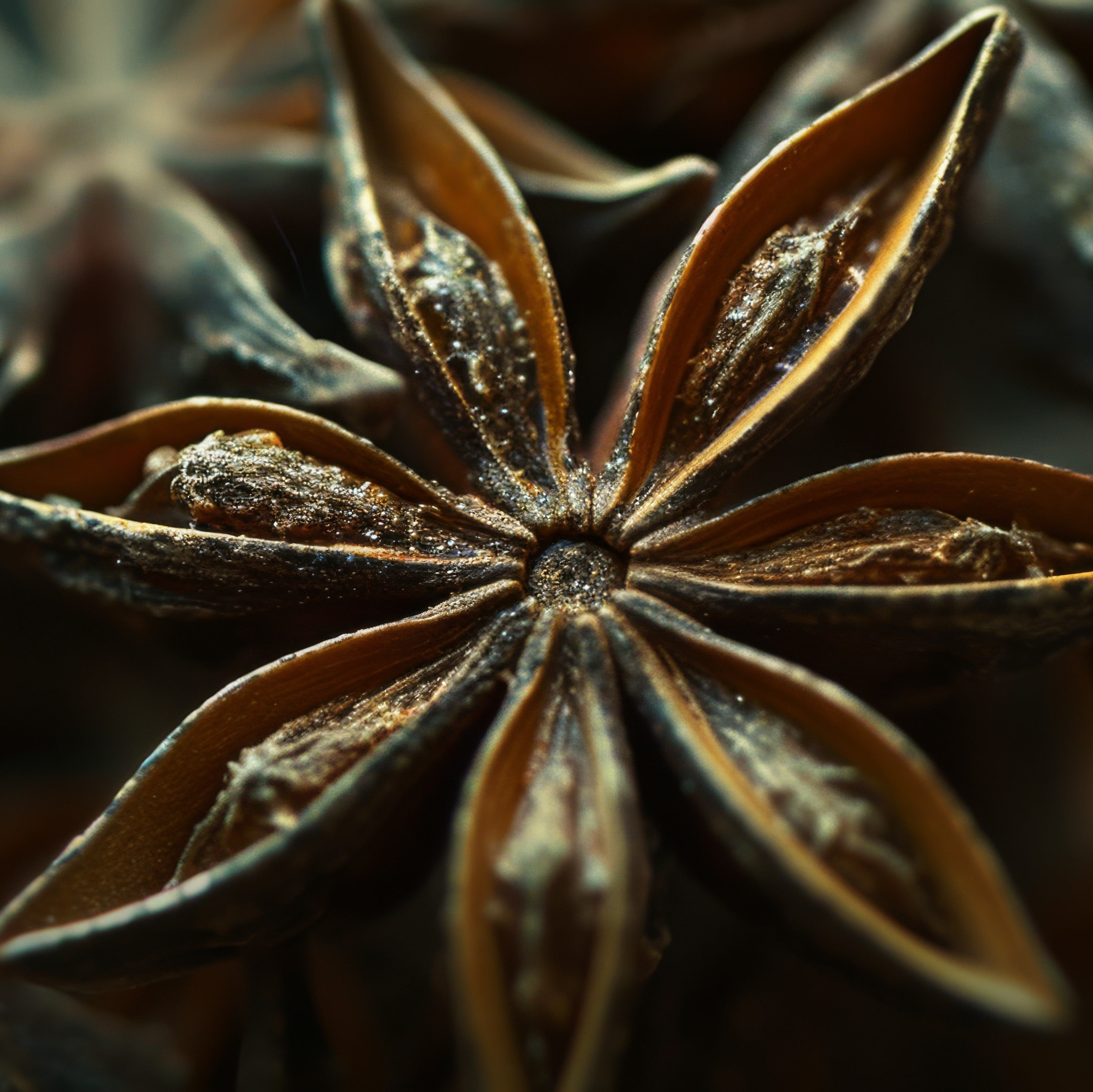 Nature Tracks Scented Shoe Covers