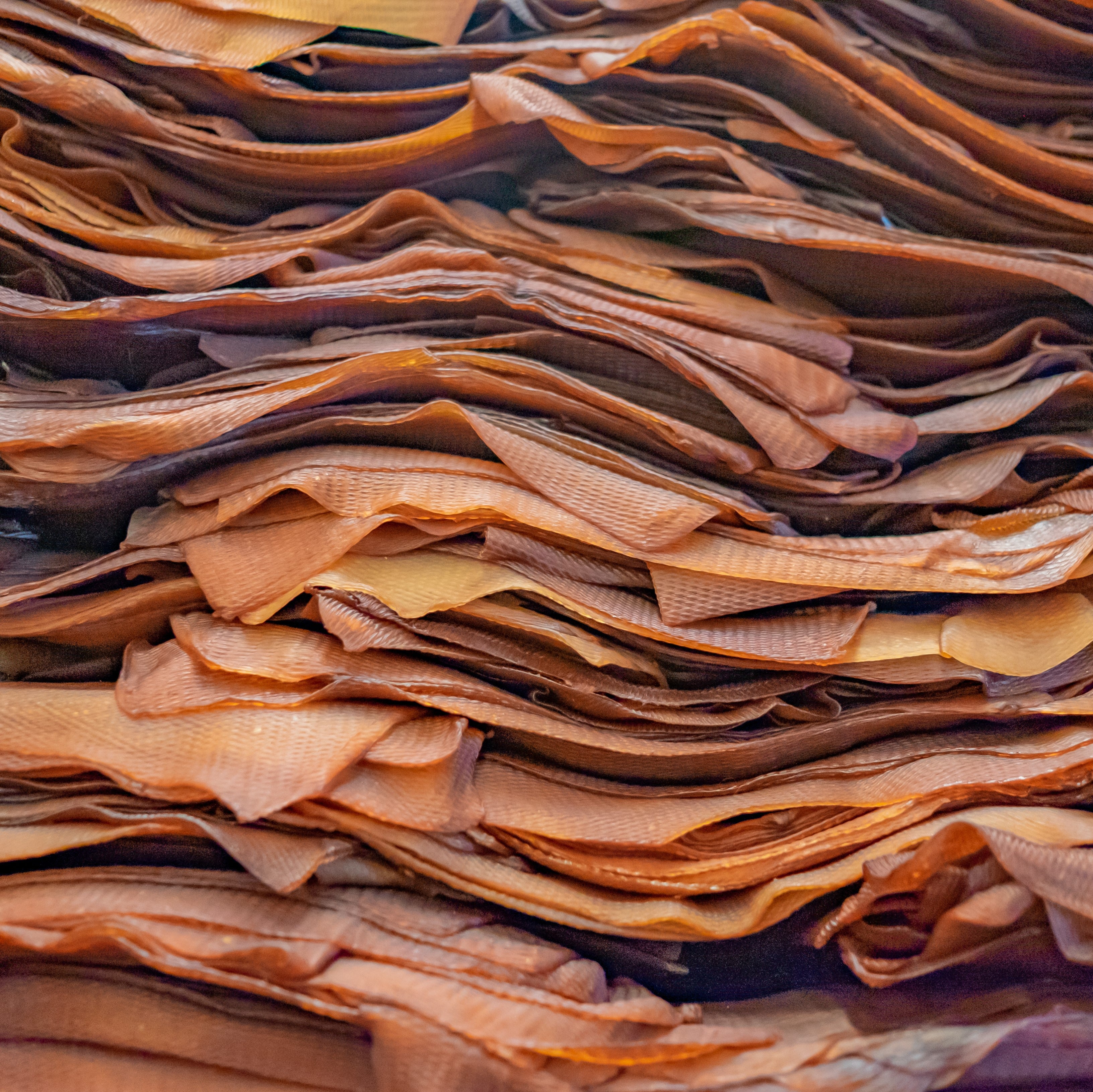 Nature Tracks Scented Shoe Covers